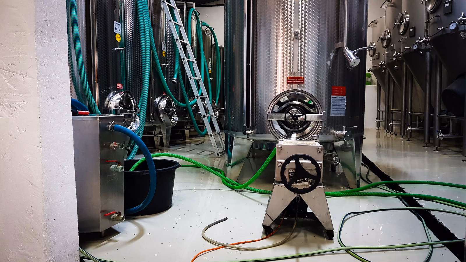 Wine transfer in the cellar with production pump and hoses
